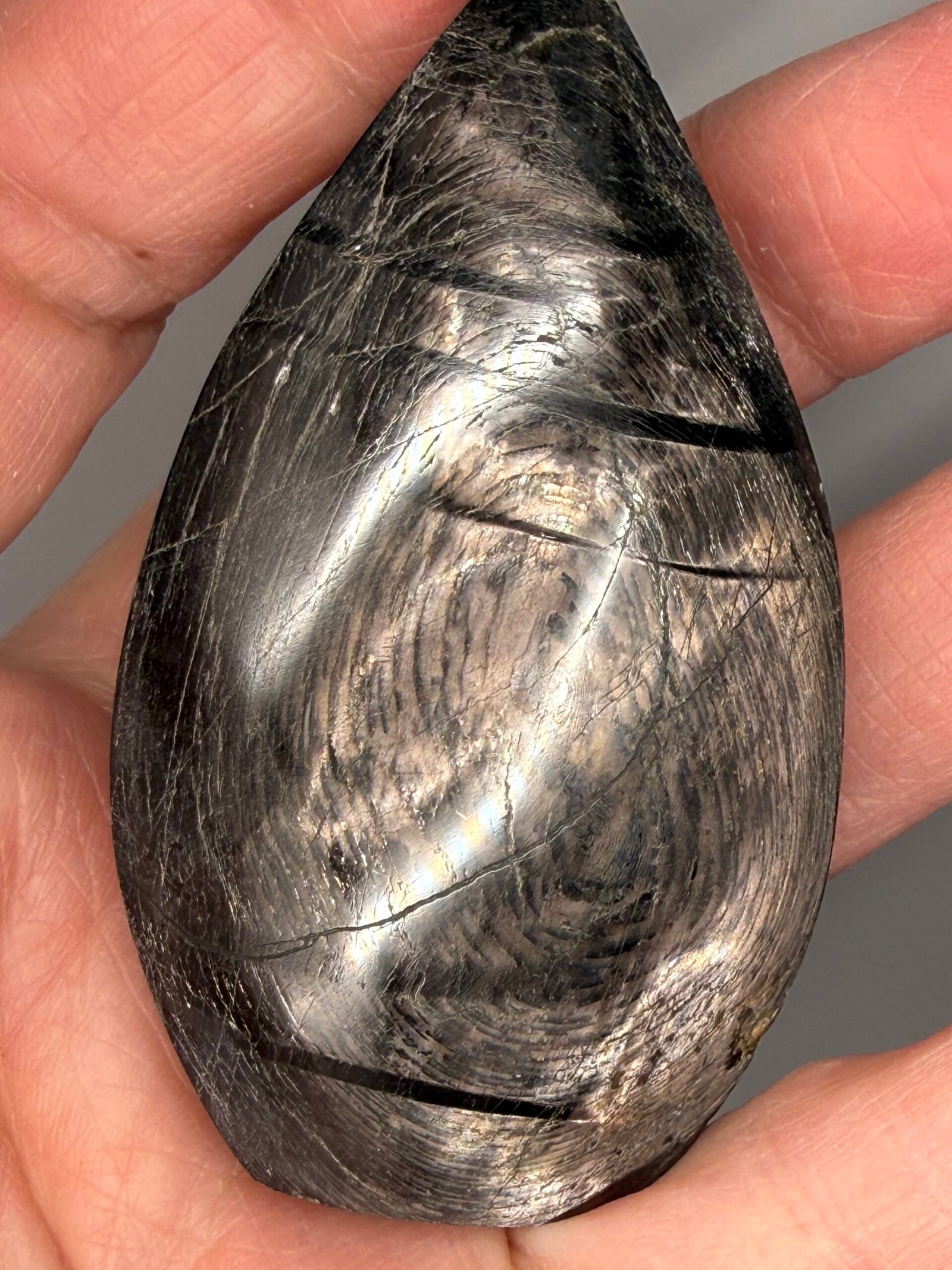 Hypersthene Freeform Sheild - Image 9