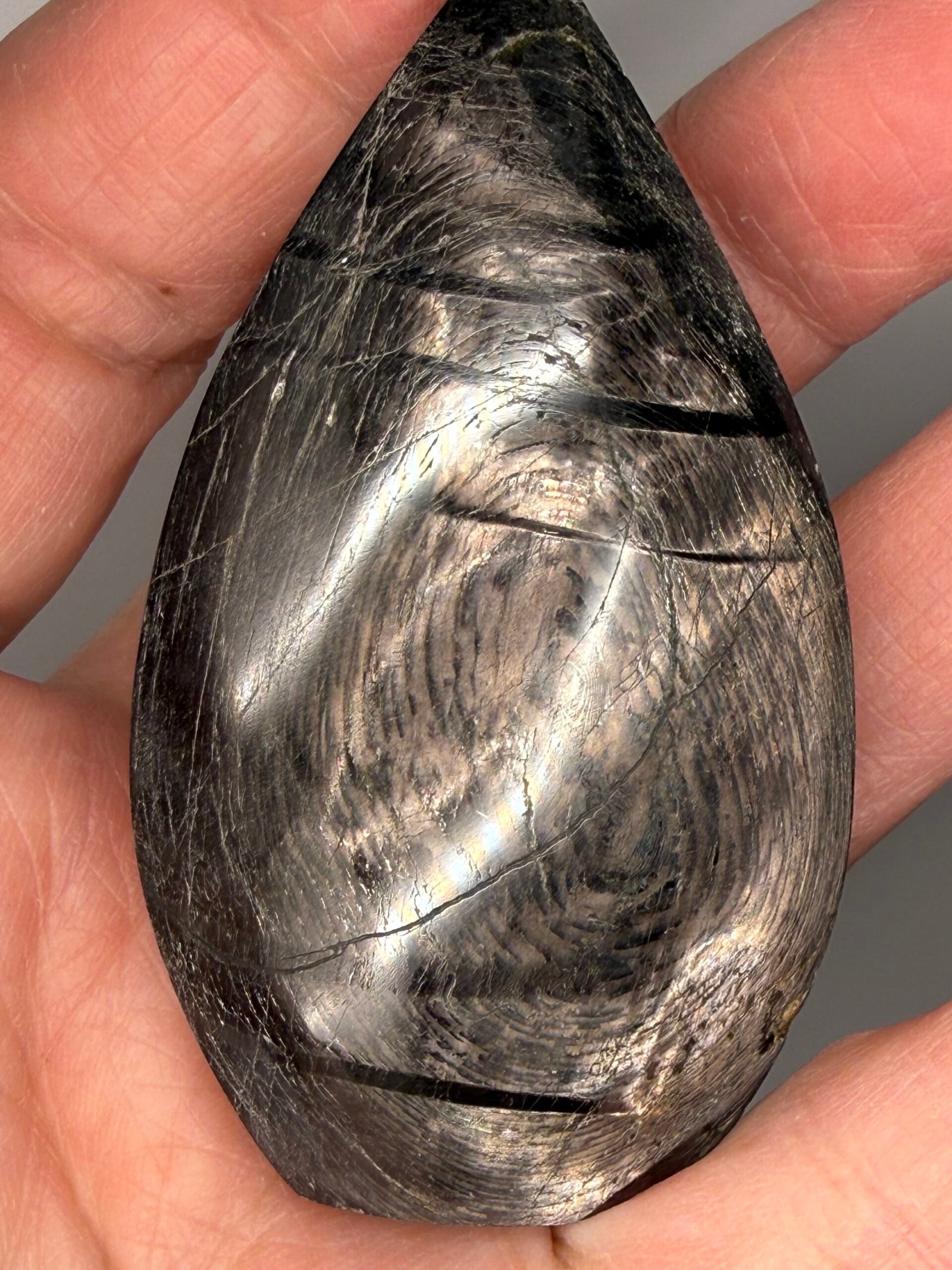 Hypersthene Freeform Sheild