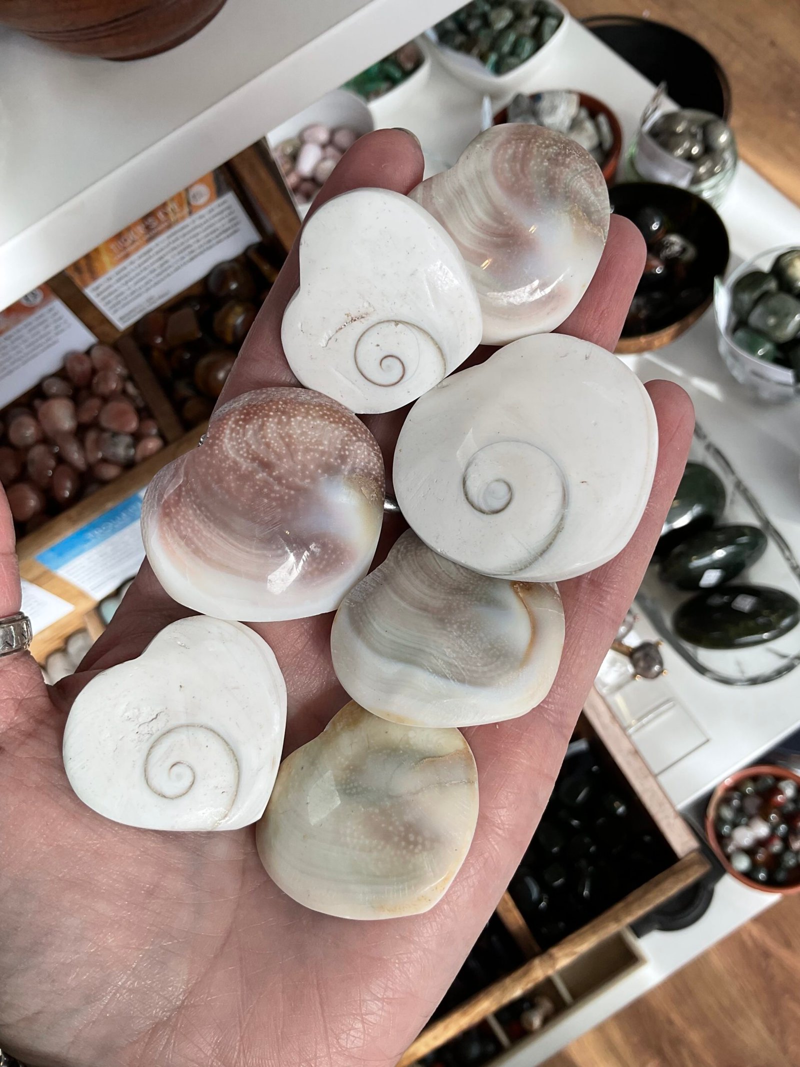 Shiva Shell Heart - Image 2