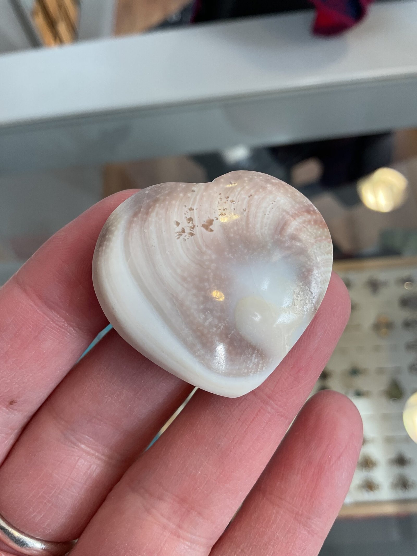 Shiva Shell Heart - Image 3