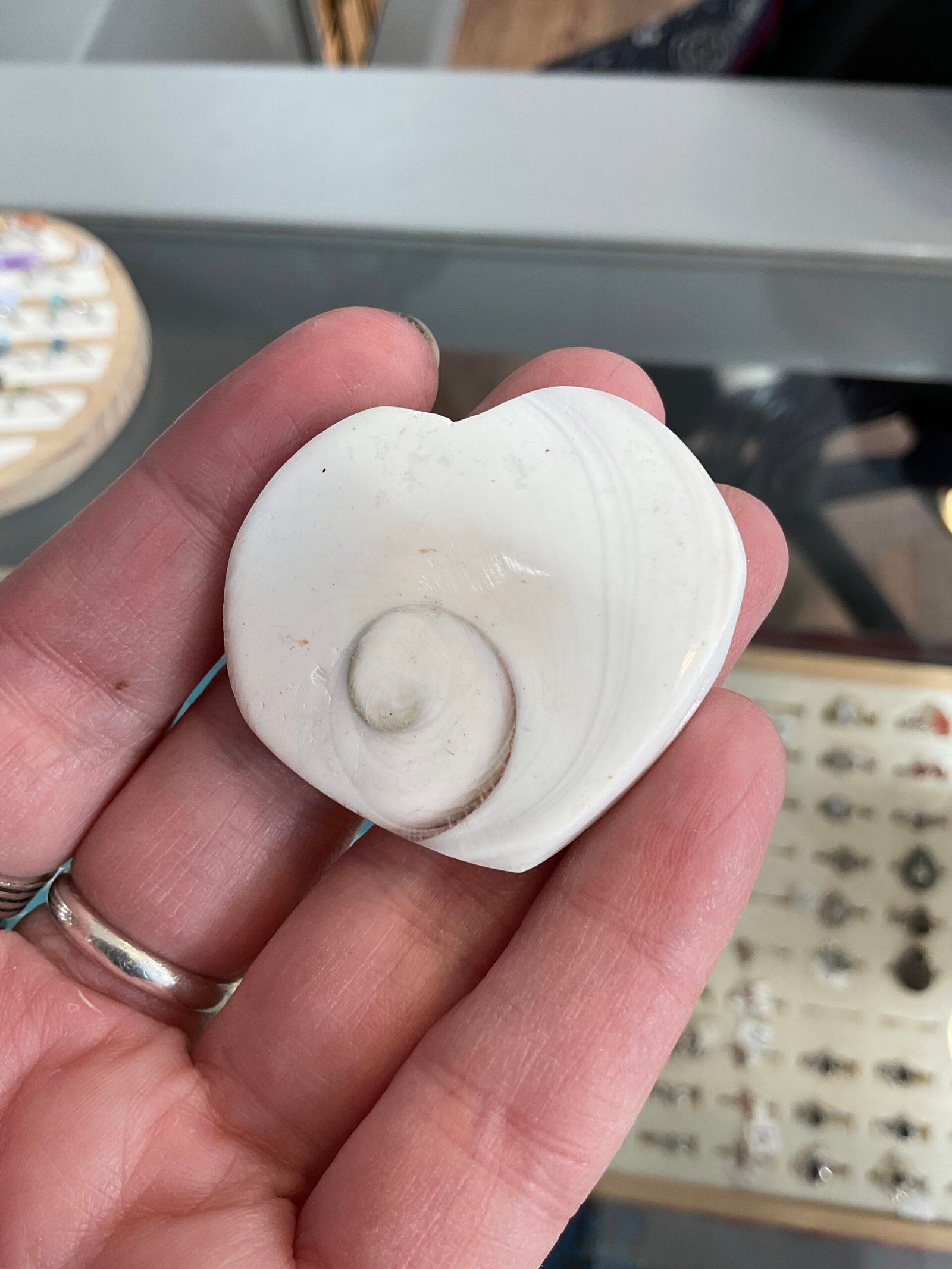 Shiva Shell Heart - Image 4