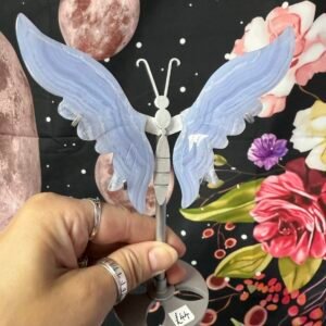 Blue Lace Agate Butterfly Wings on Stand