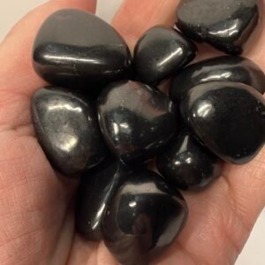 Shungite Tumble Stone