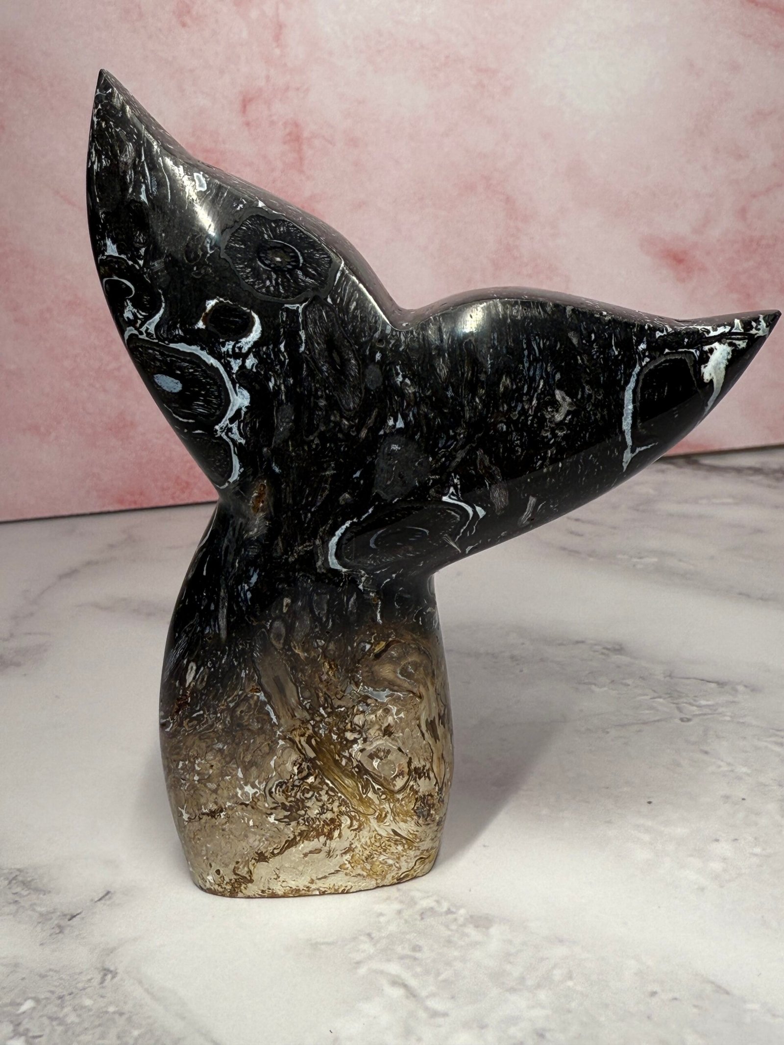 Petrified Palm Root ‘Mermaids Tail’ Carving