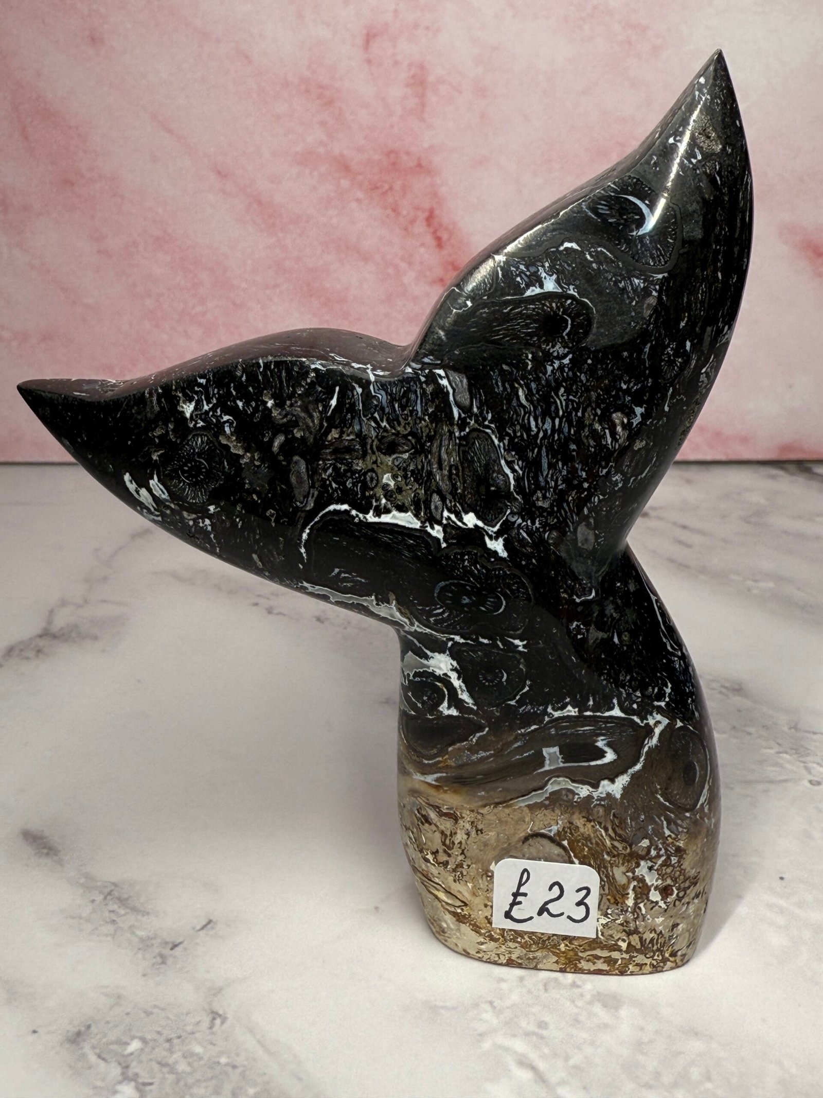 Petrified Palm Root ‘Mermaids Tail’ Carving - Image 3