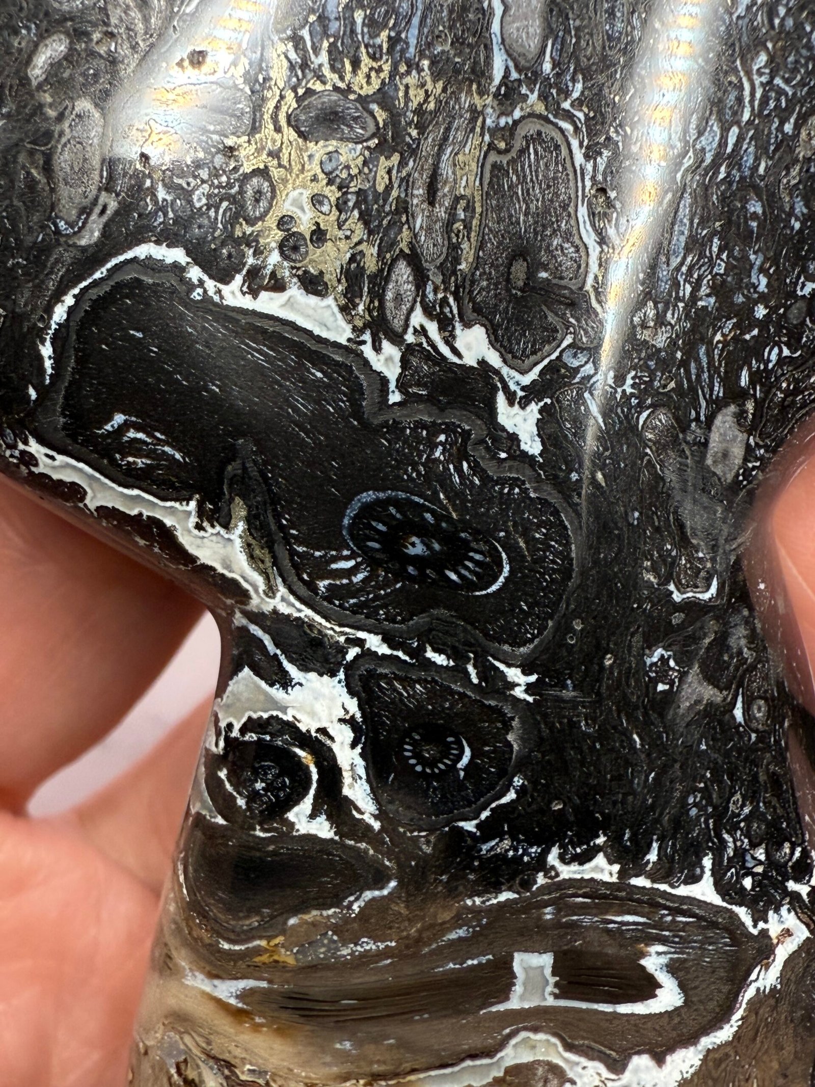 Petrified Palm Root ‘Mermaids Tail’ Carving - Image 6