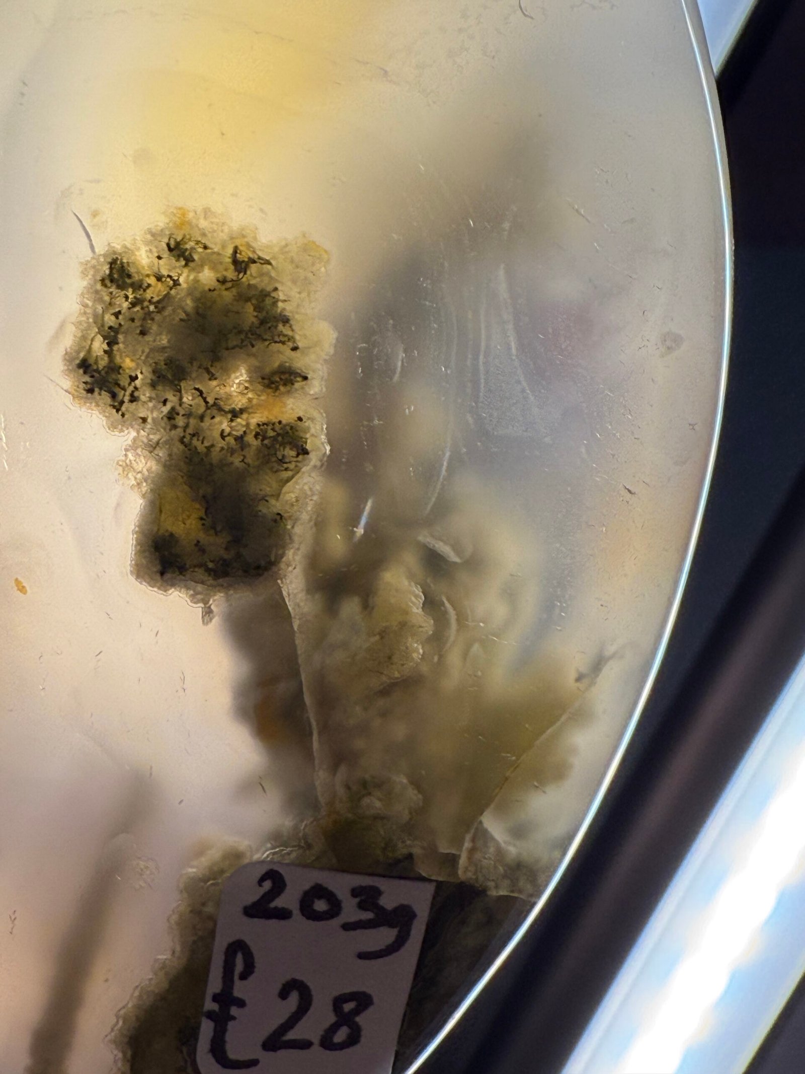 Scenic Moss Agate Freeform - Image 8