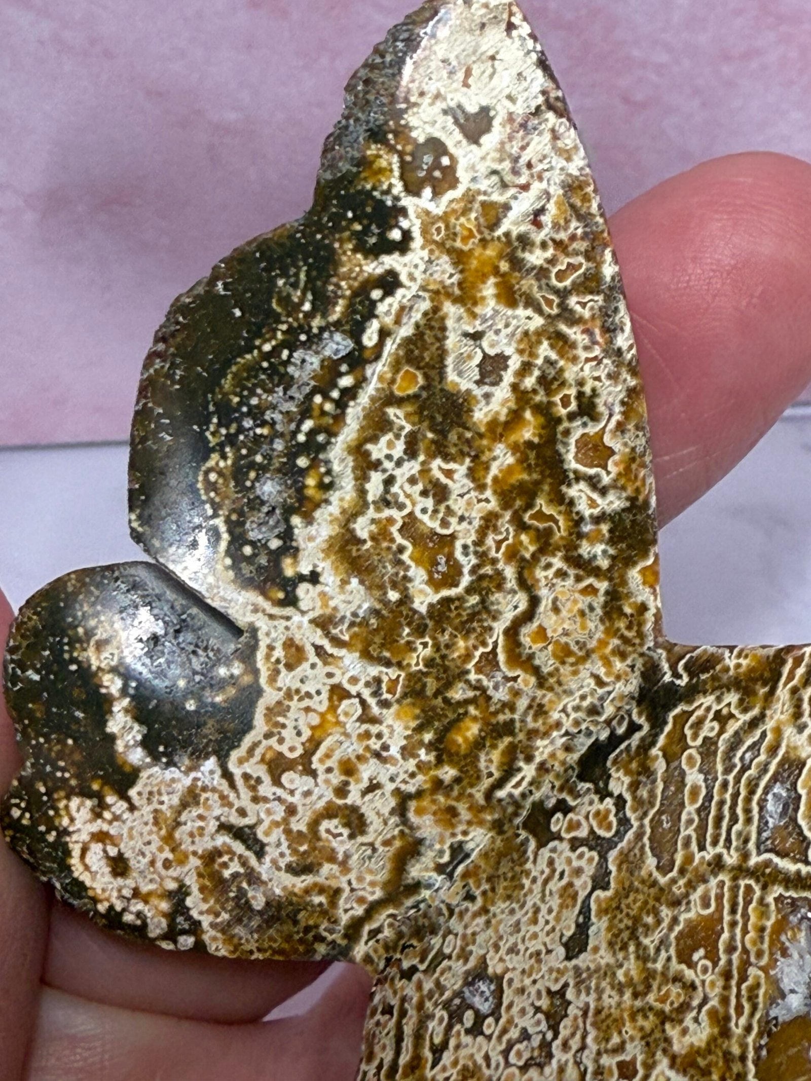 Indonesian Orbicular Jasper 3D Butterfly - Image 5