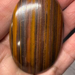 Tiger Iron Palm Stone