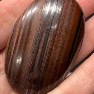 Tiger Iron Palm Stone