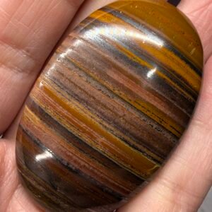 Tiger Iron Palm Stone