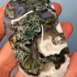 Moss Agate Palm Stone