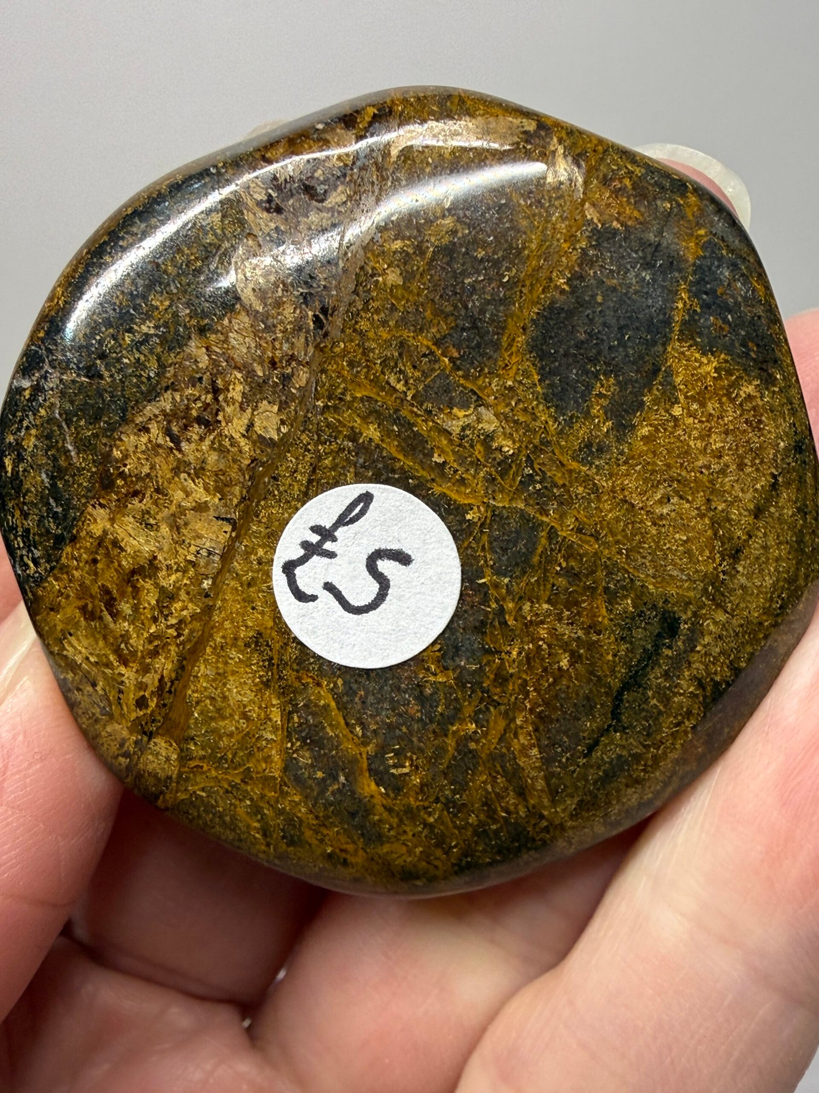 Bronzite Flat Palm Stone - Image 5
