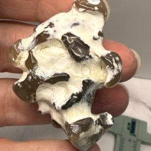 Snake Skin Agate #A