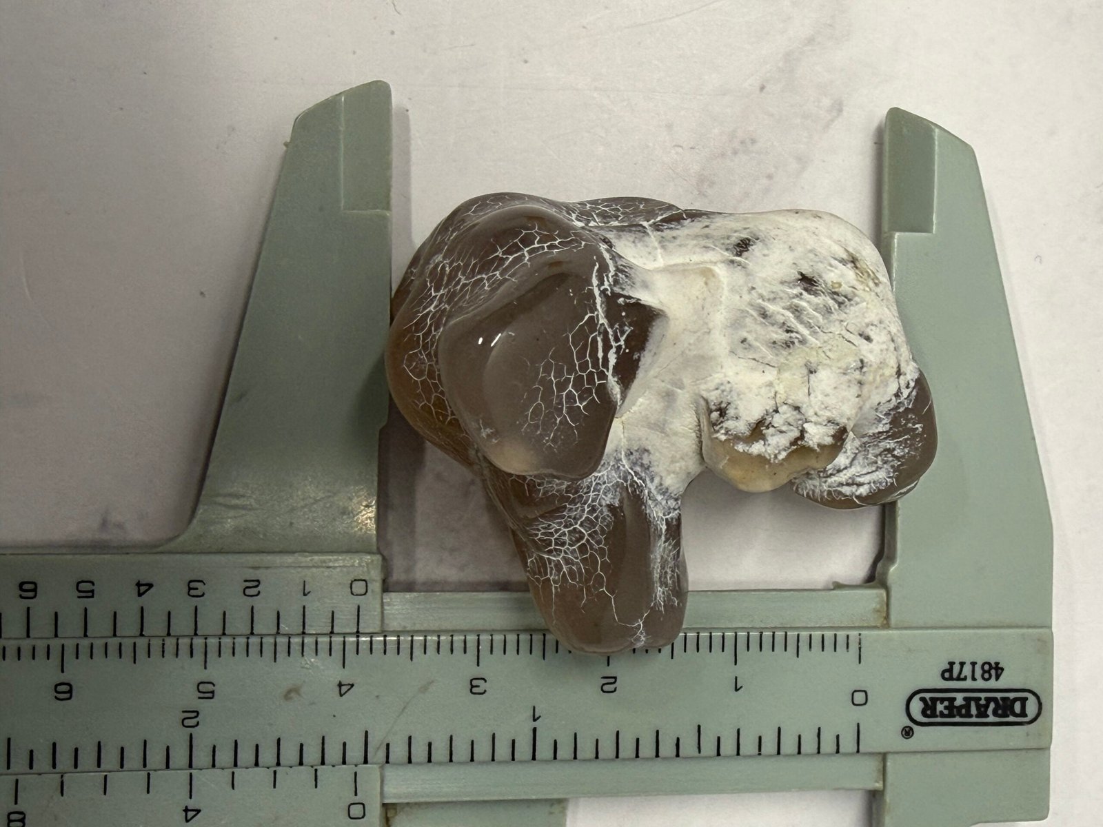 Snake Skin Agate #B - Image 2