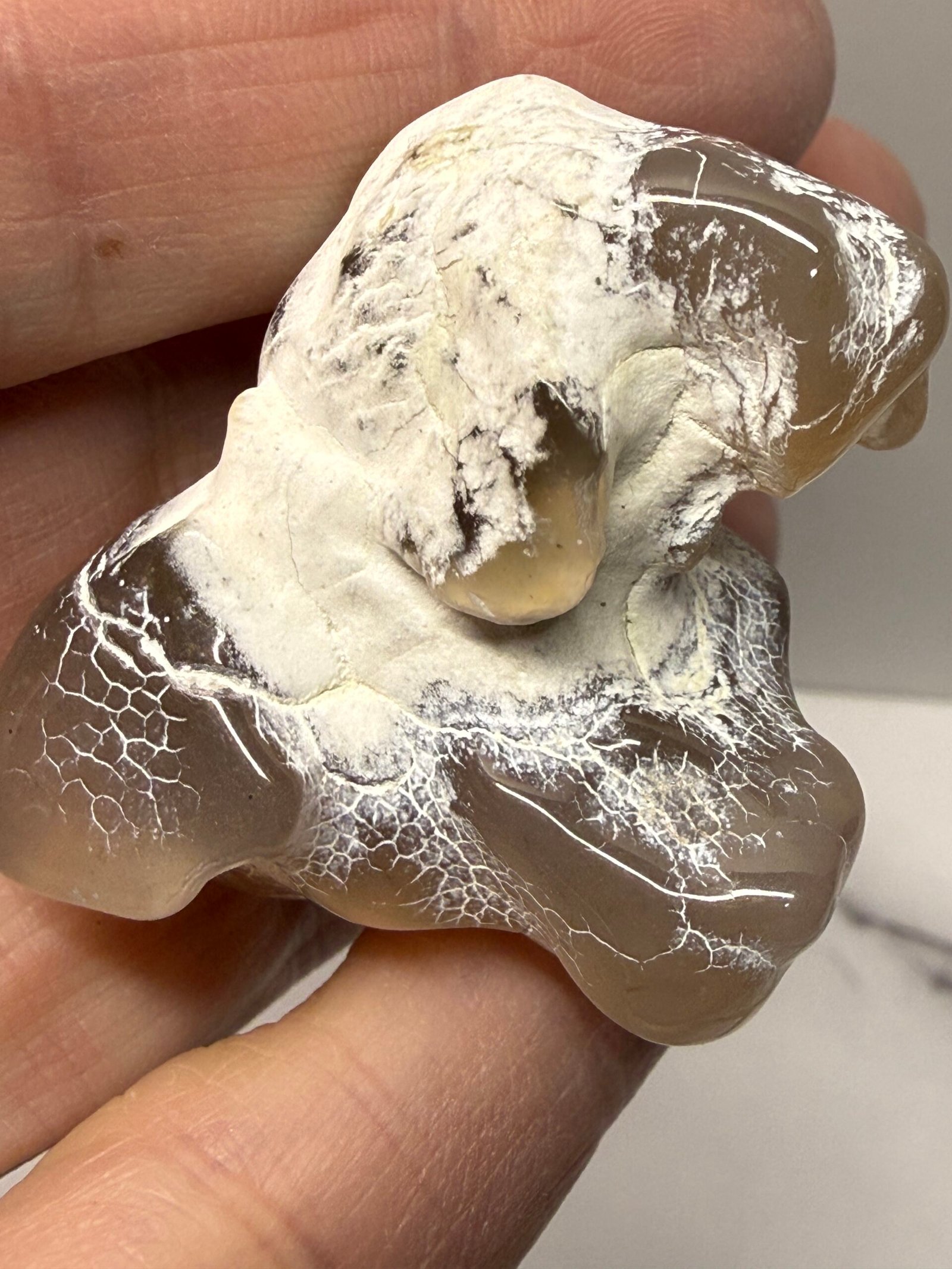 Snake Skin Agate #B - Image 4