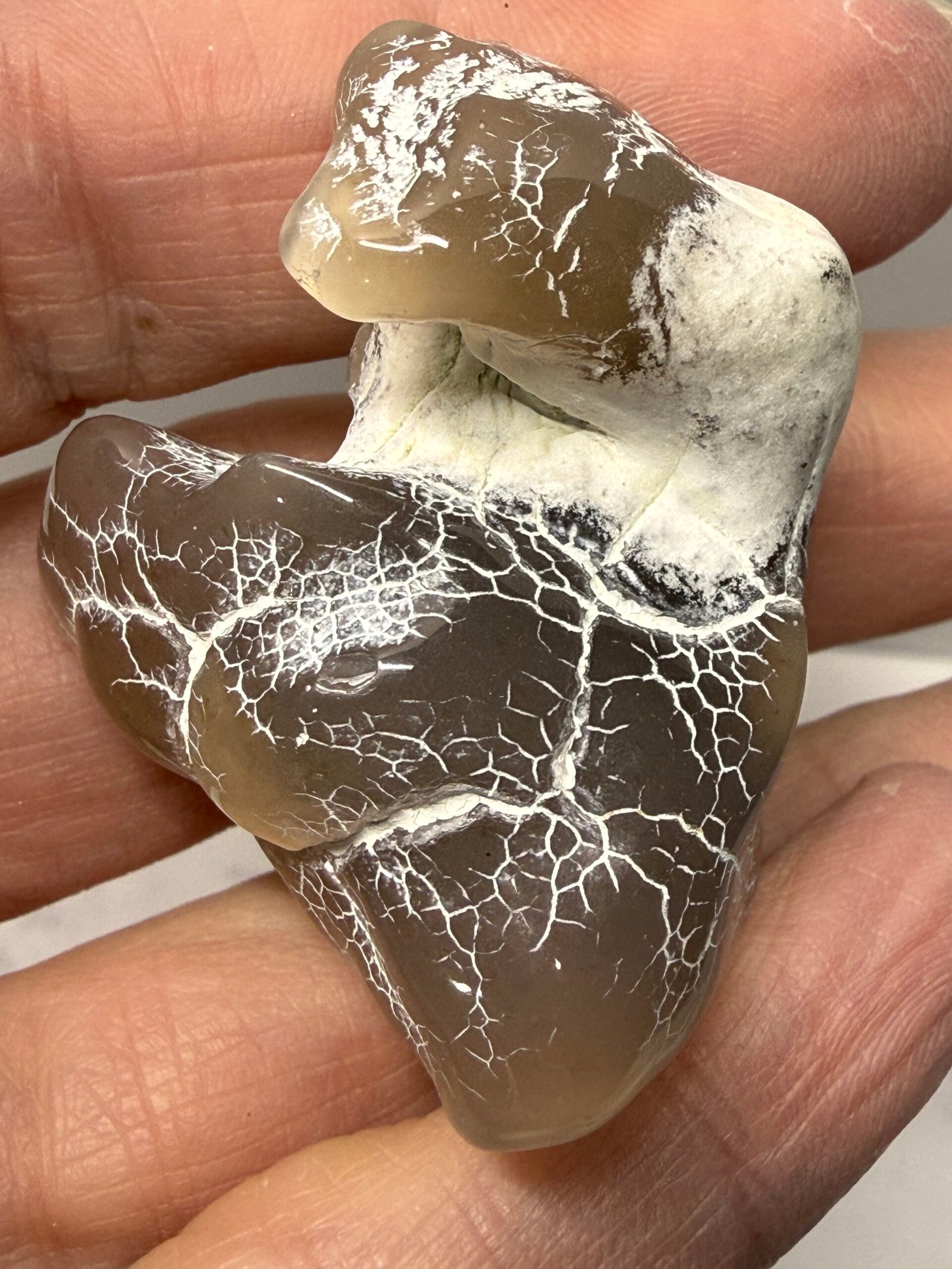 Snake Skin Agate #B - Image 5