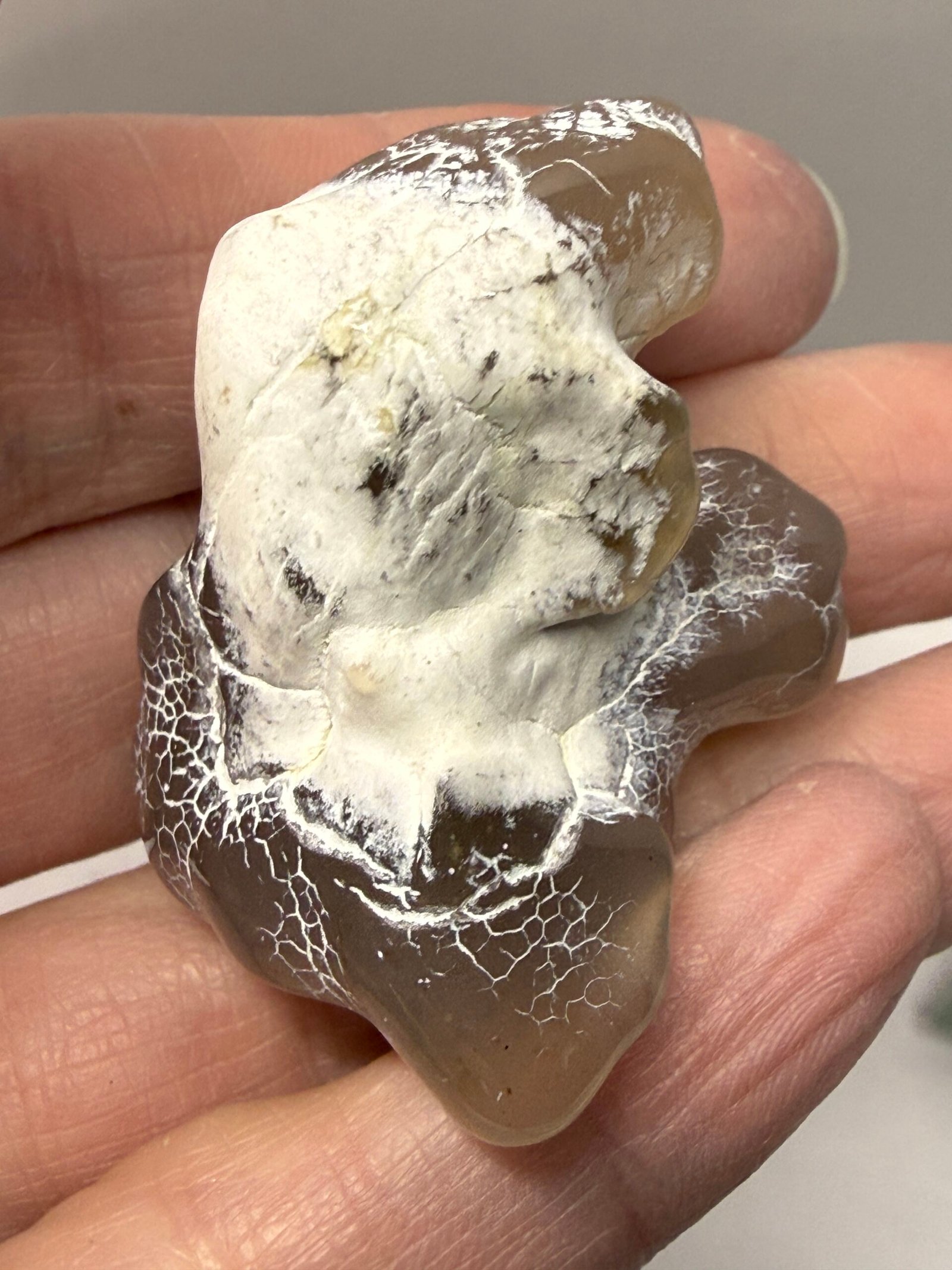 Snake Skin Agate #B - Image 6