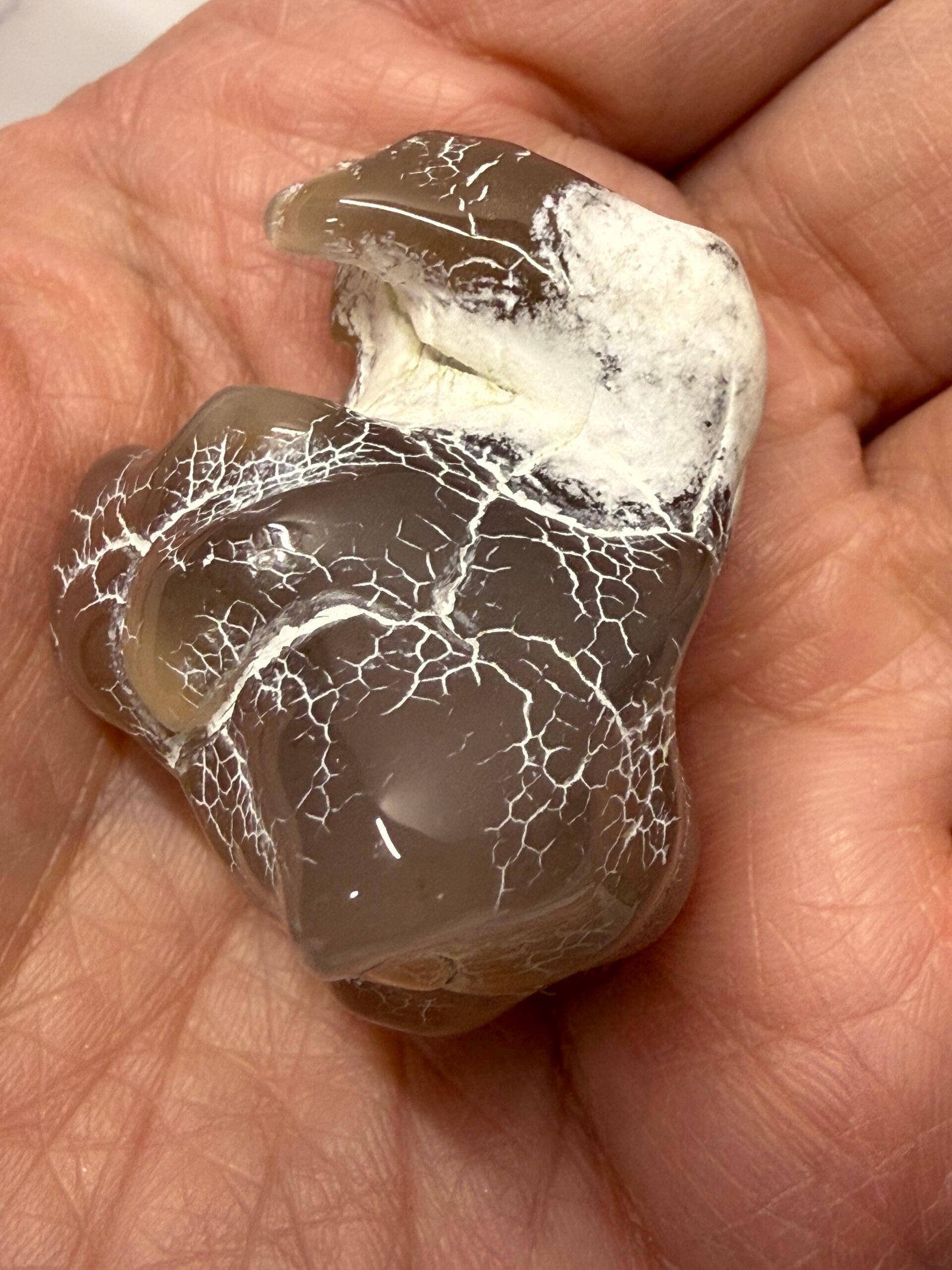 Snake Skin Agate #B - Image 7