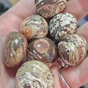 Money Agate Tumble Stone