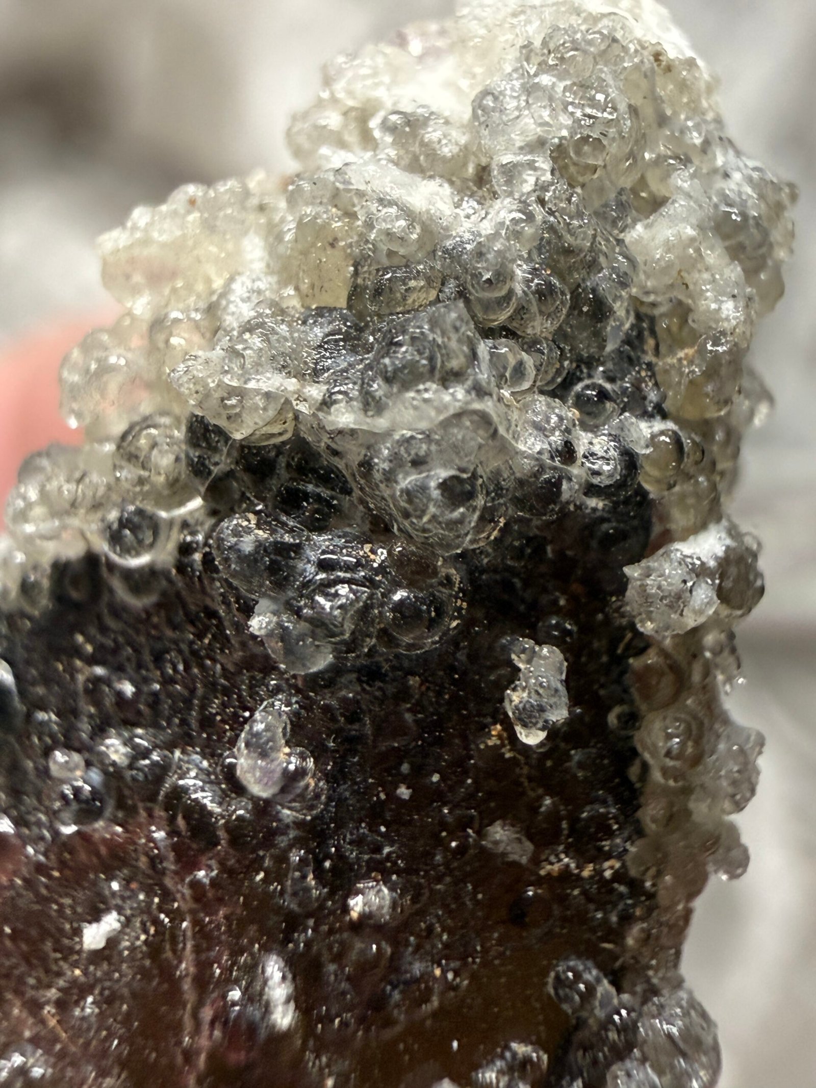 Namibian Smoky Quartz with Hyalite Opal - Image 6