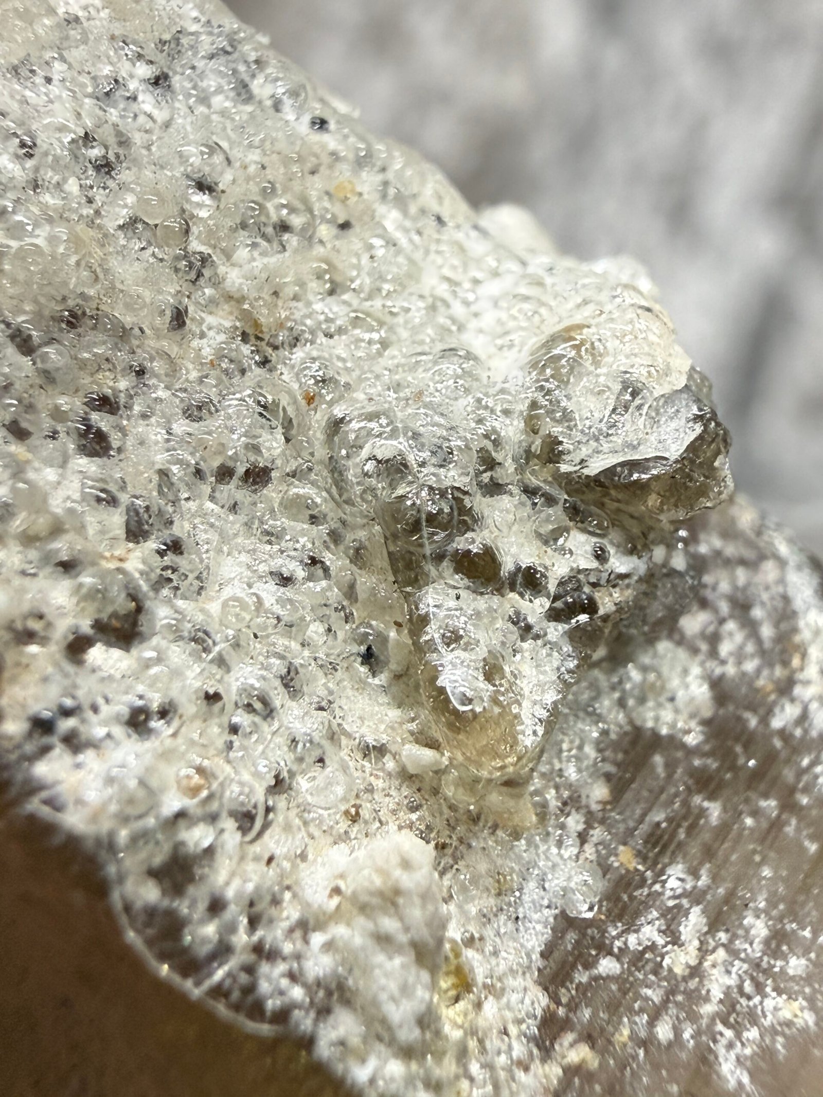 Namibian Smoky Quartz with Hyalite Opal - Image 7