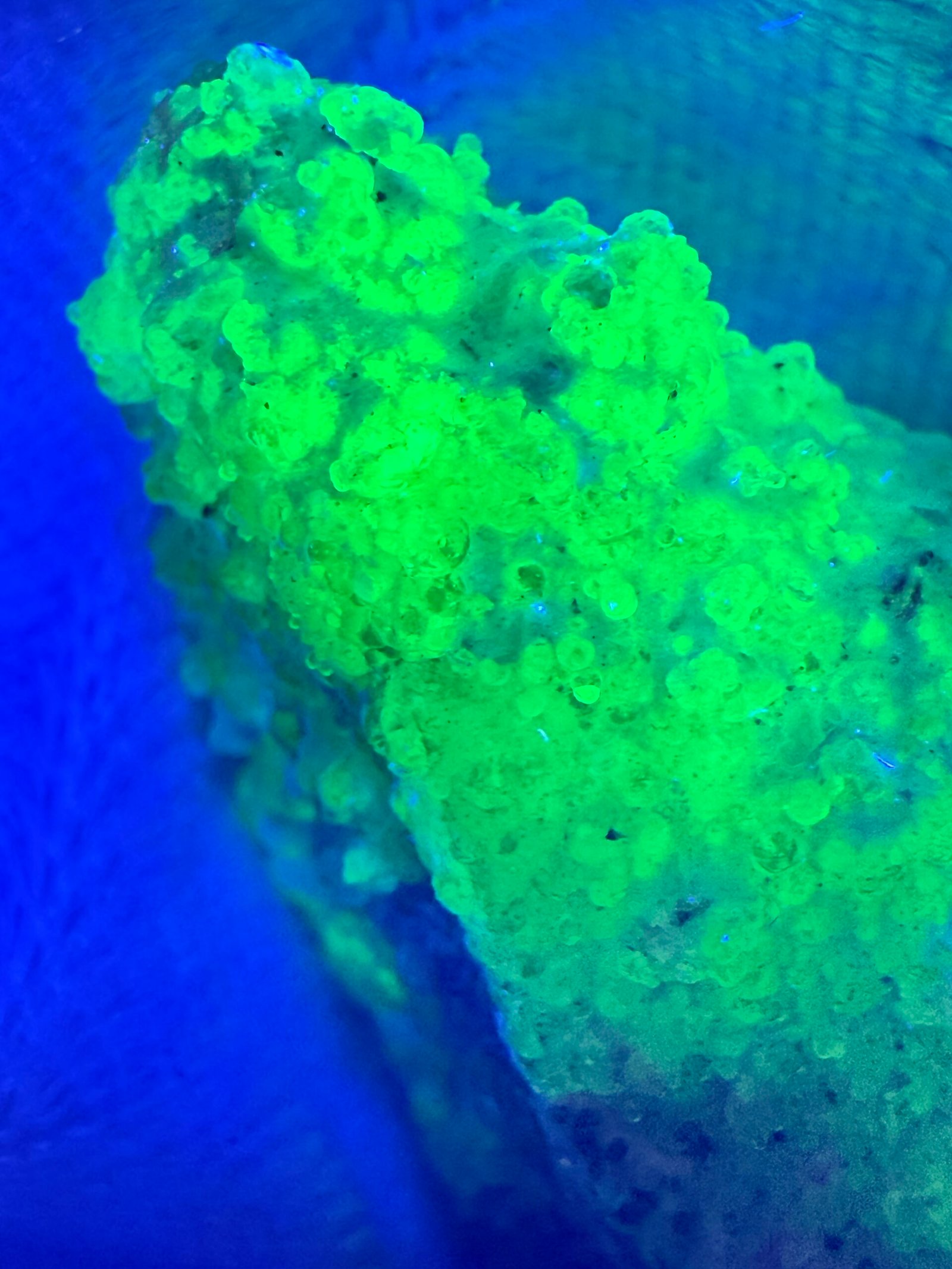 Namibian Smoky Quartz with Hyalite Opal - Image 9