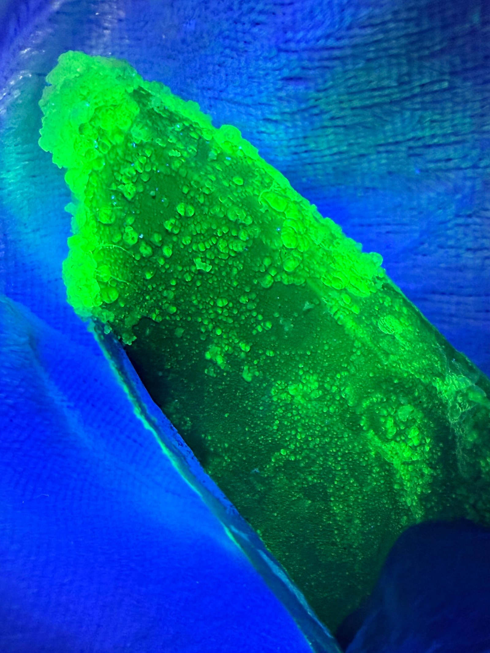 Namibian Smoky Quartz with Hyalite Opal - Image 10