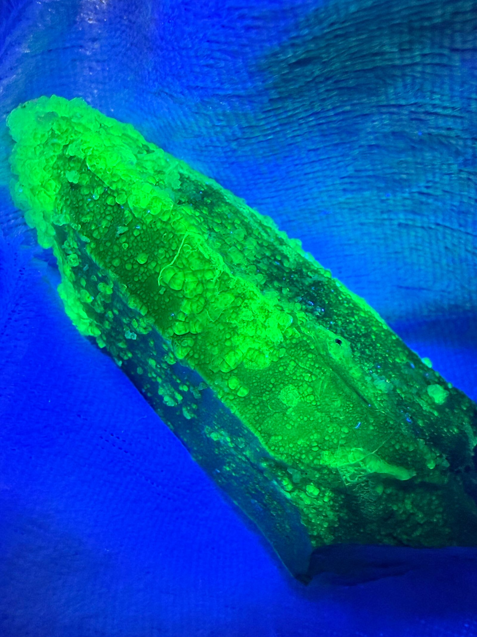 Namibian Smoky Quartz with Hyalite Opal