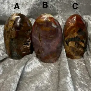 Petrified Wood Freeform