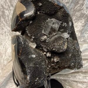 Septarian Nodule on Custom Stand