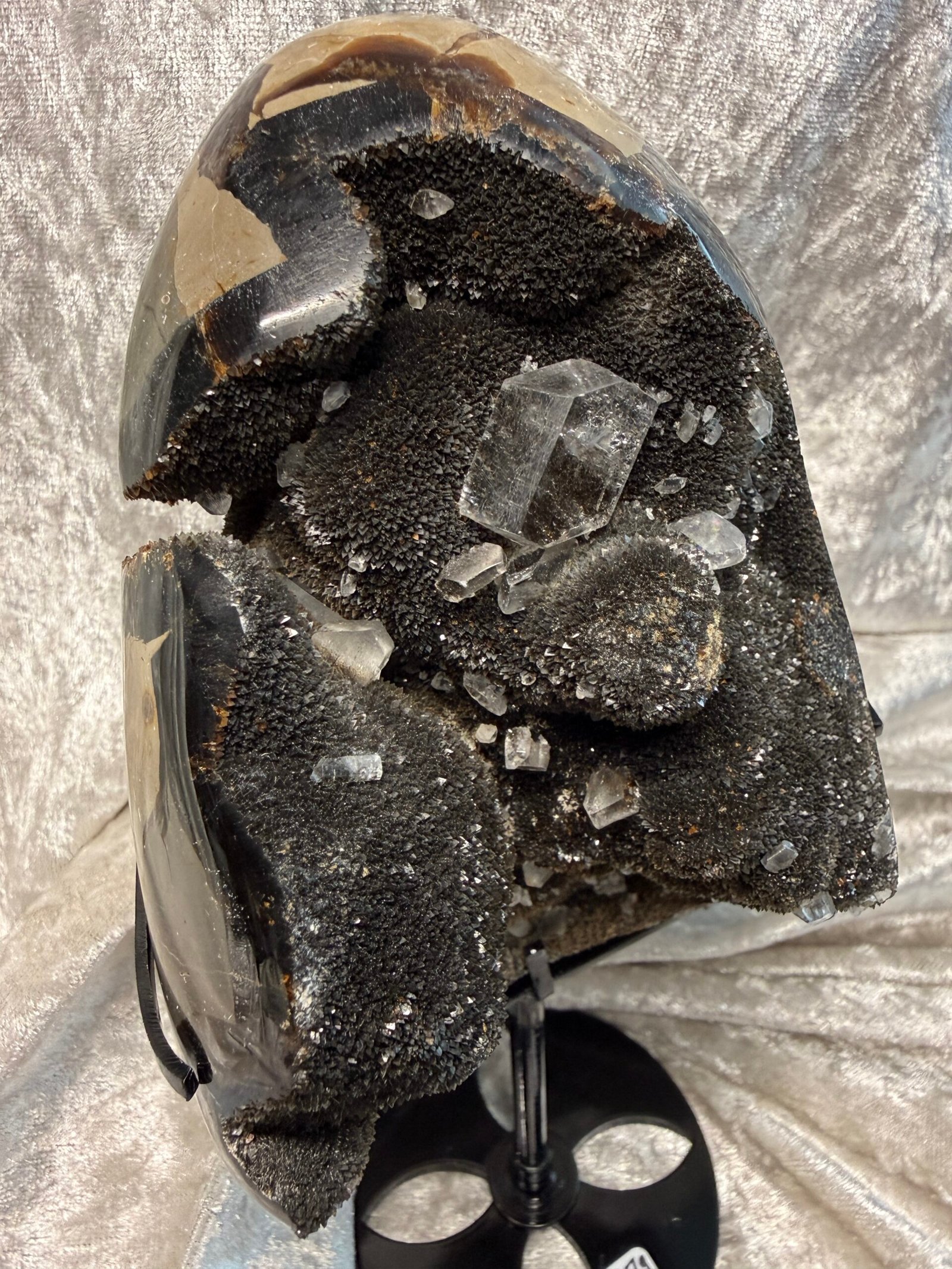 Septarian Nodule on Custom Stand