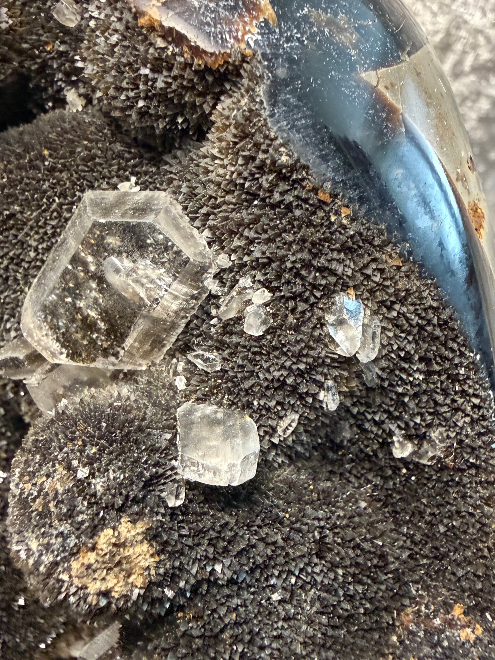 Septarian Nodule on Custom Stand - Image 4