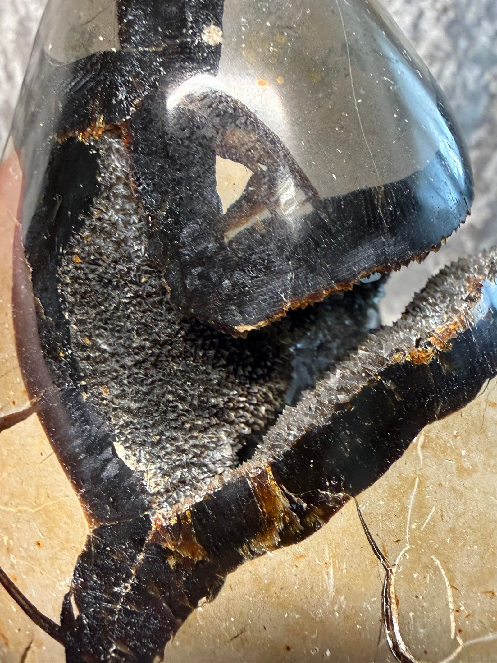 Septarian Nodule on Custom Stand - Image 8