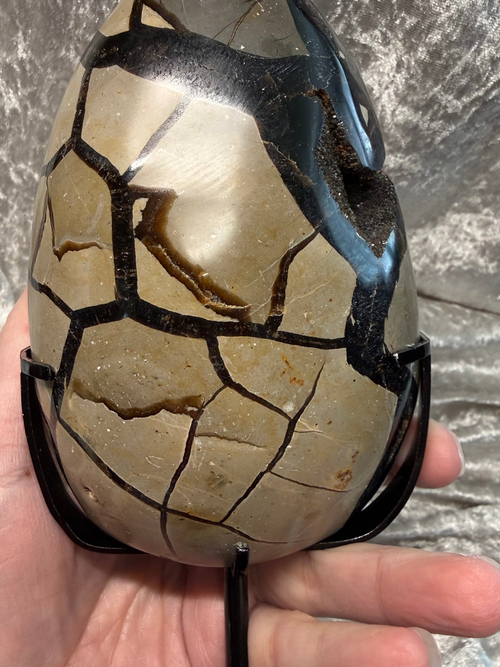 Septarian Nodule on Custom Stand - Image 9
