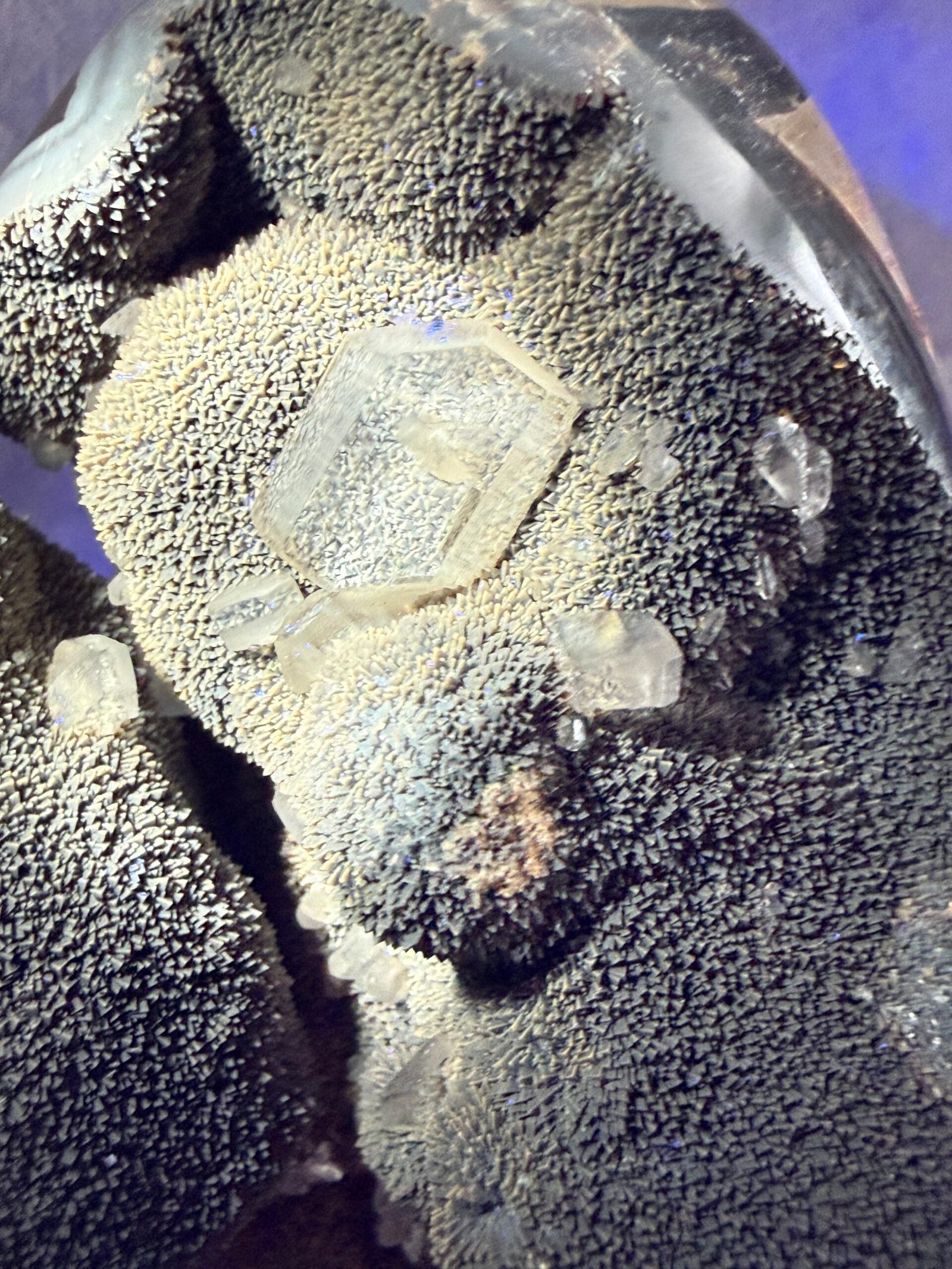 Septarian Nodule on Custom Stand - Image 11