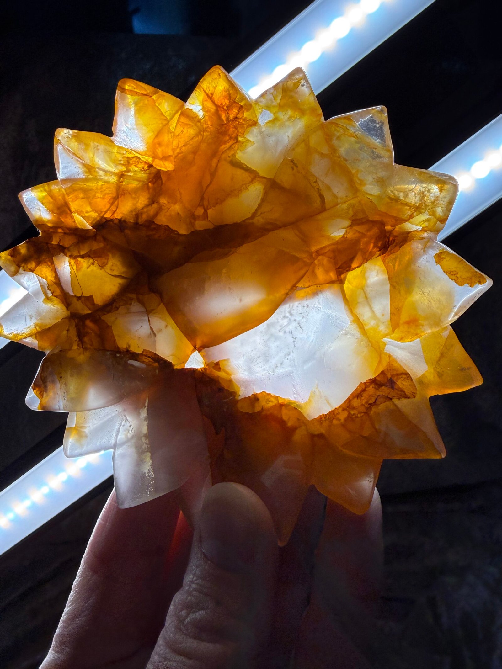 Golden Healer Sunflower on Stand - Image 8