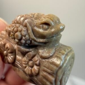 Alashan Agate Money Toad on Tree Trunk