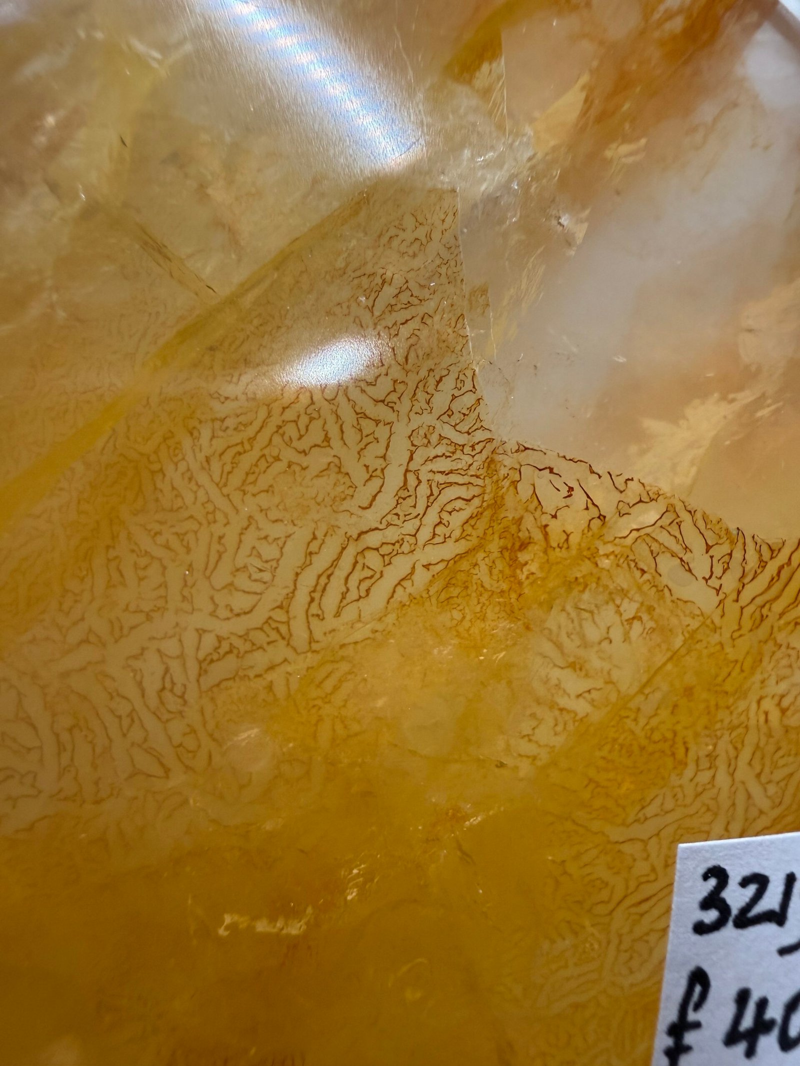Large Golden Healer Heart - Image 4