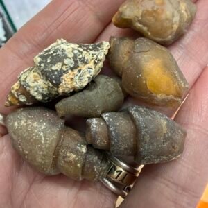 Agate Replaced Shell