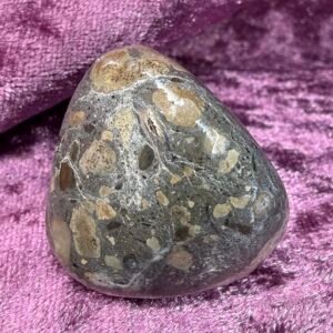 Dinosaur Bone Pebble