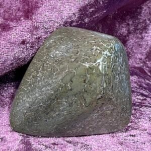 Dinosaur Bone Pebble