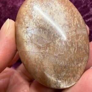 Sunstone Palm Stone