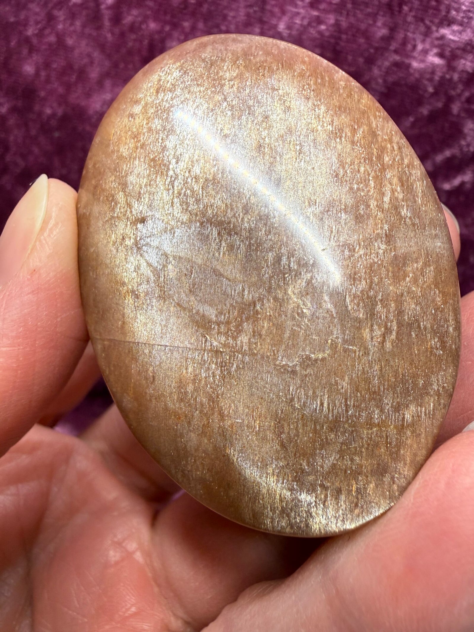 Sunstone Palm Stone