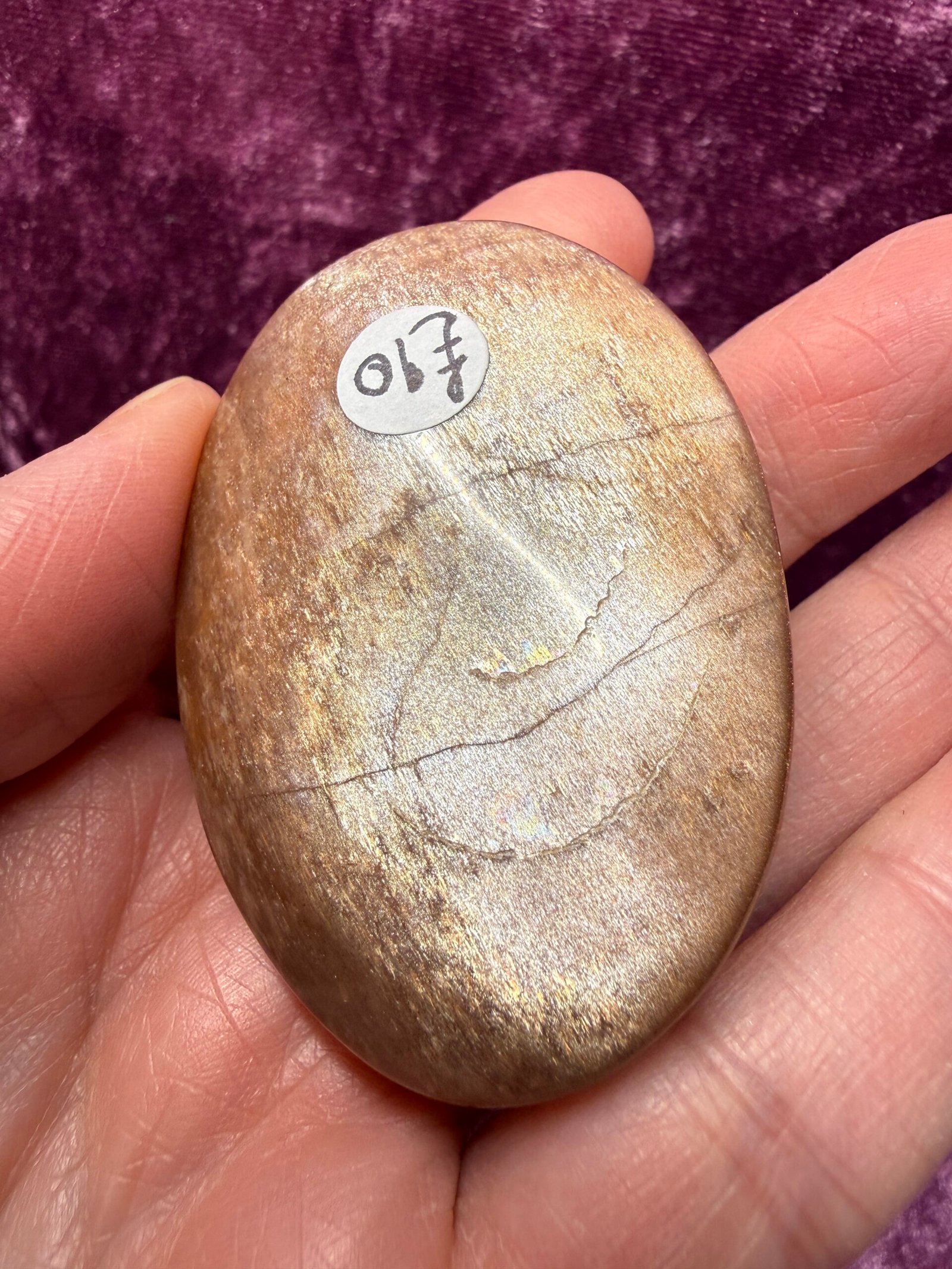 Sunstone Palm Stone - Image 3