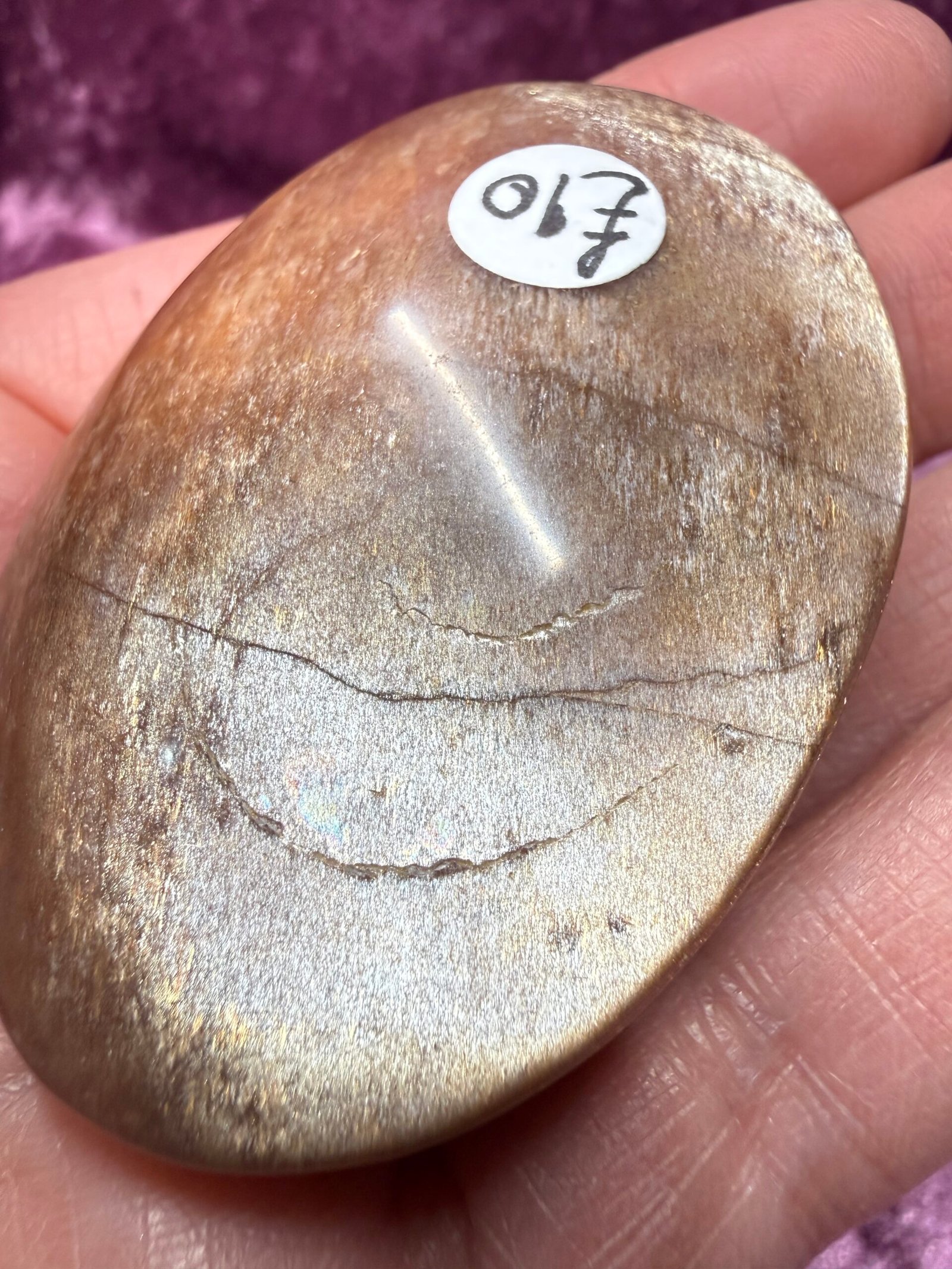 Sunstone Palm Stone - Image 4