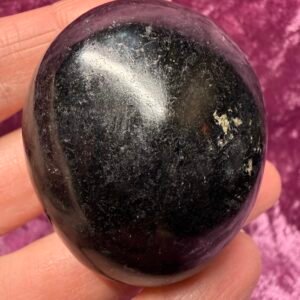 Black Tourmaline Palm Stone