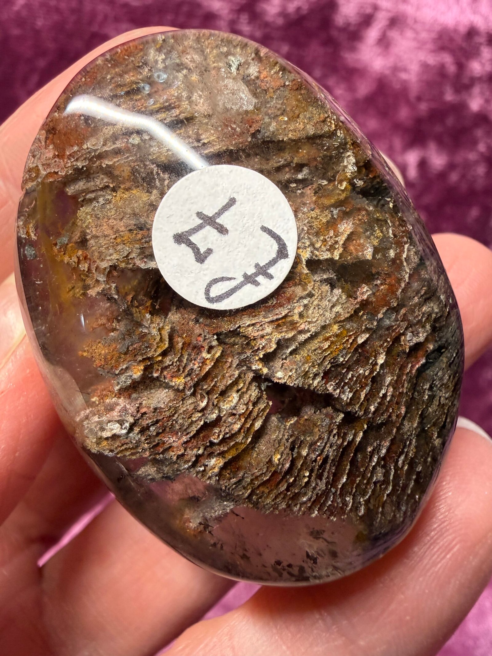 Garden Quartz (Lodolite) Palm Stone - Image 3
