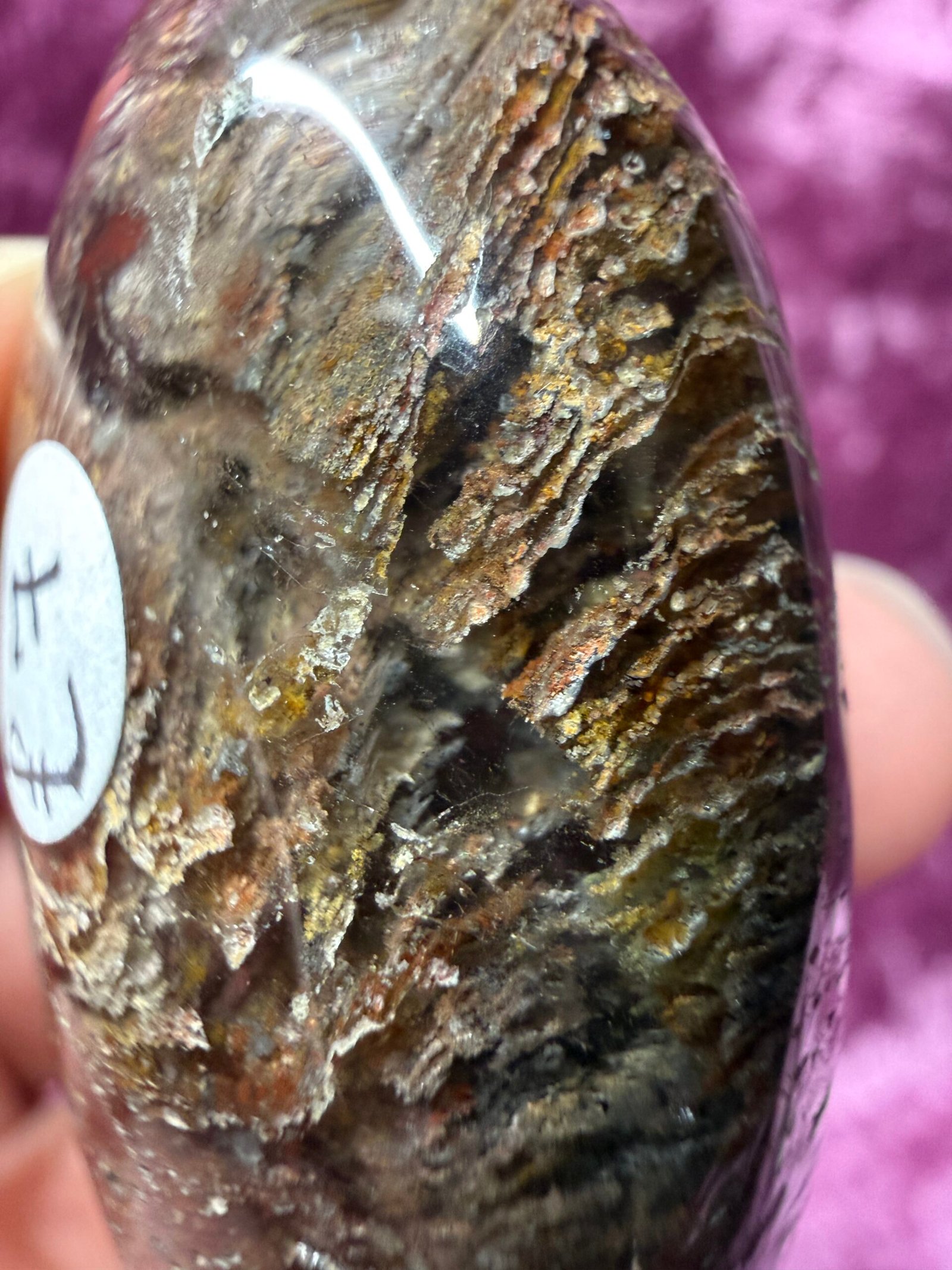 Garden Quartz (Lodolite) Palm Stone - Image 5
