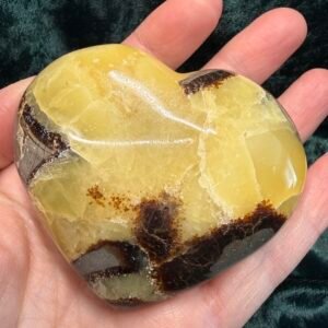 Septarian Nodule Heart